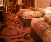 200803240009000.jpg