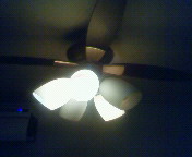 200902092348000.jpg